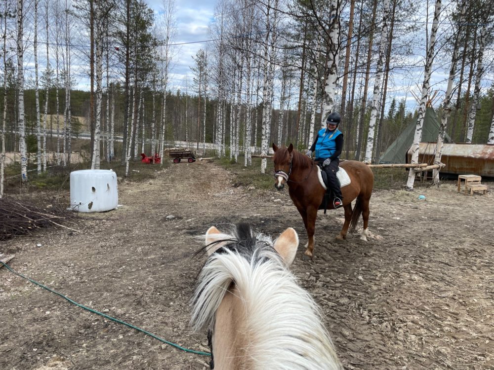 Laenlammen Tila Horsebackriding Finnish Nature with Suvi and Hermanni - Kaat