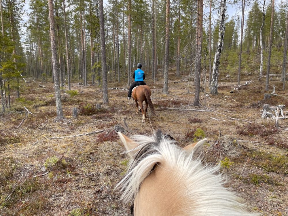 Laenlammen Tila Horsebackriding Finnish Nature with Suvi and Hermanni - Kaat