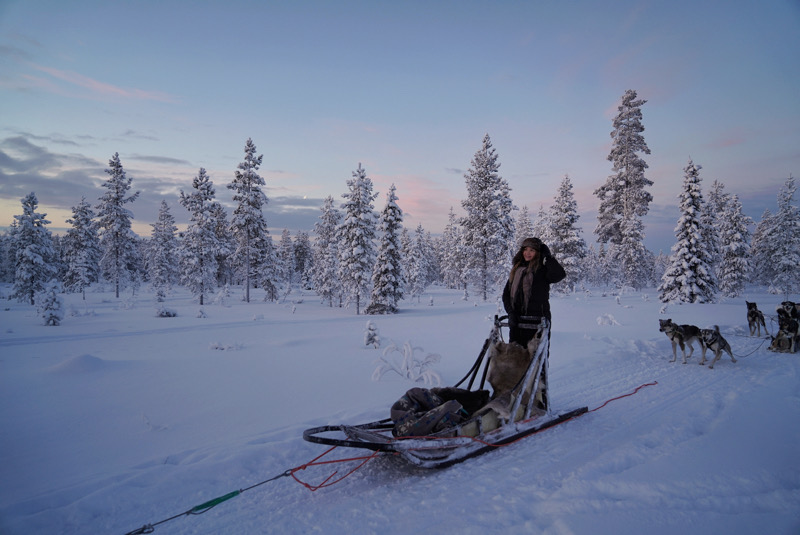 Huskyride in Saaruselkä Inari huskies by Erika Katainen