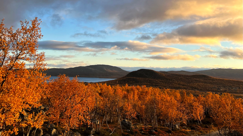 Kilpisjärvi Lapland Ruska Autumn Fall Foliage By Erika Katainen