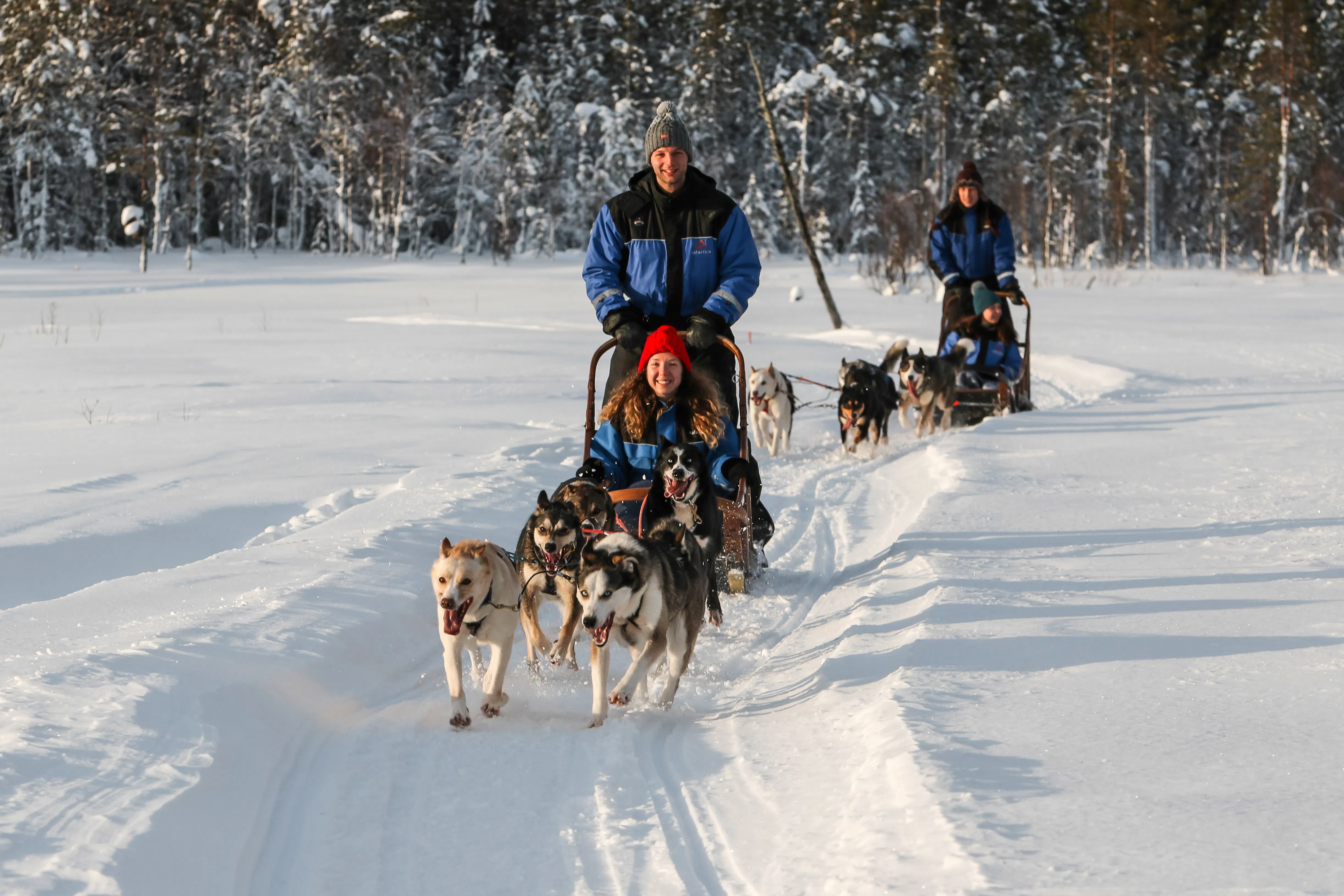 1 hour husky safari (7-10km) self-driving at Raitola