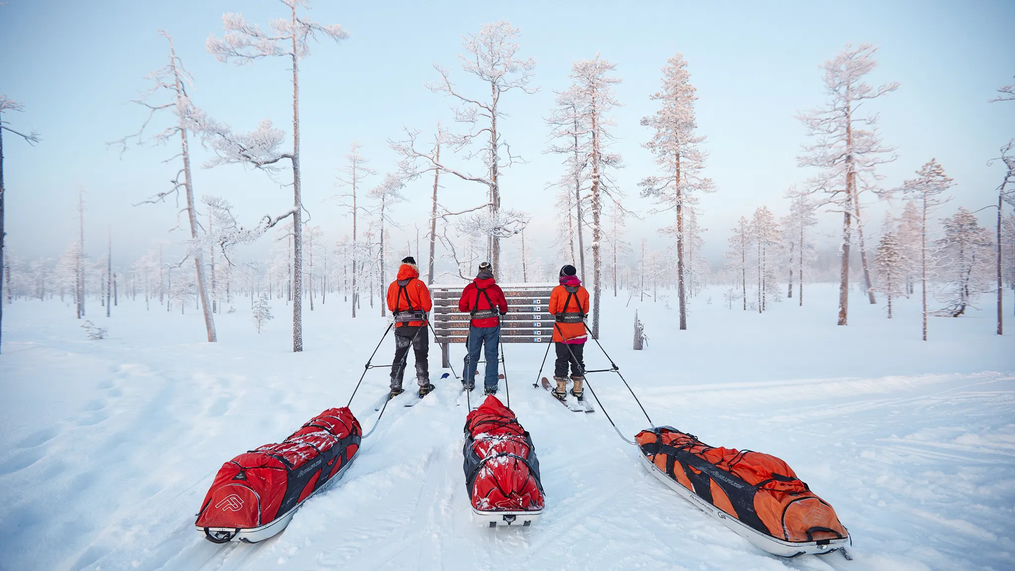 Expedition Pulk Rental in Pyhä Lapland - 1 day, 3 or 5 days