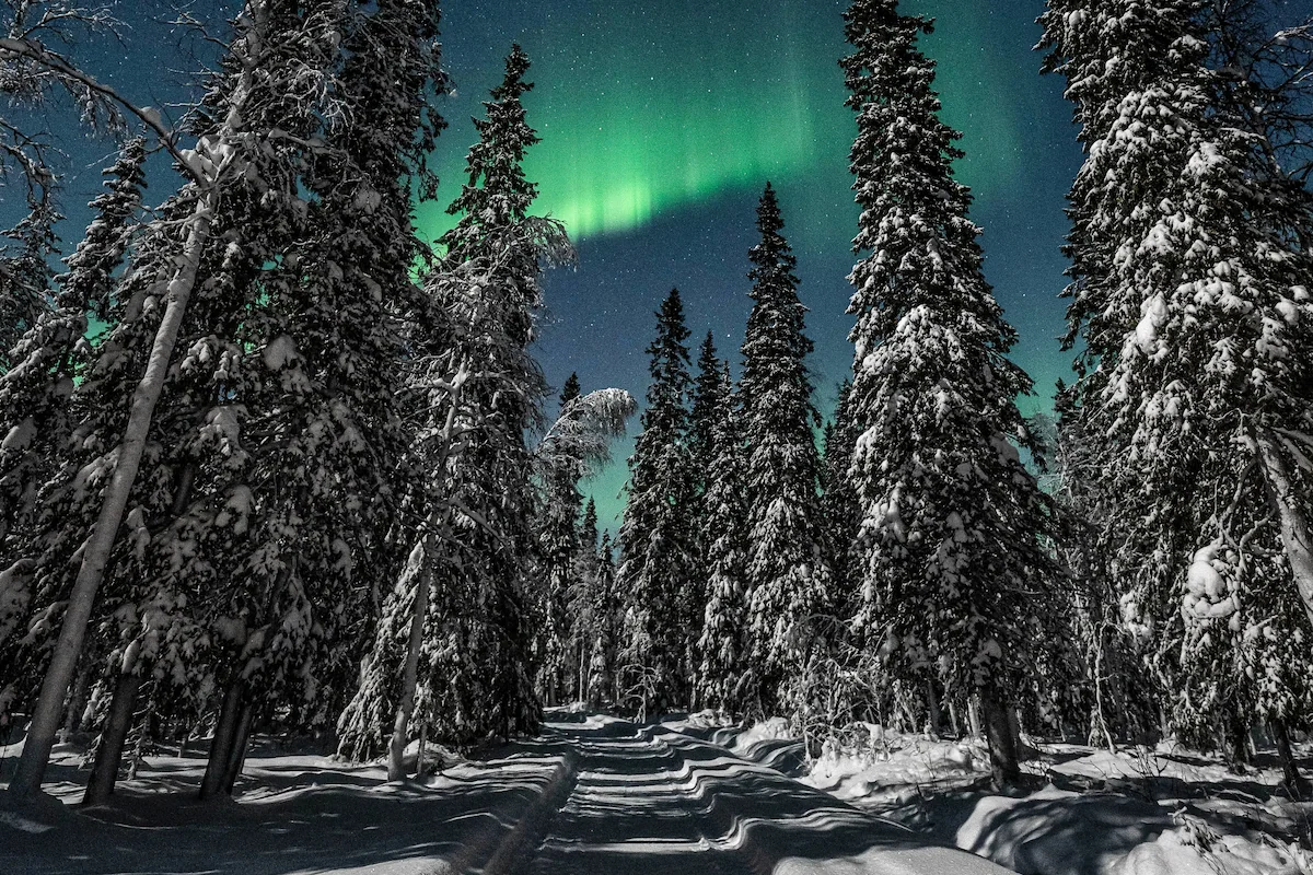 Arctic Night Reindeer Ride in Rovaniemi by Porovaara