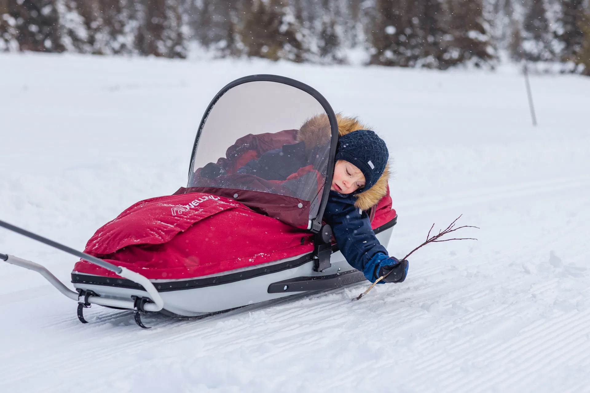 Children's Pulk Rental in Pyhä Lapland - 1 day, 3 or 5 days