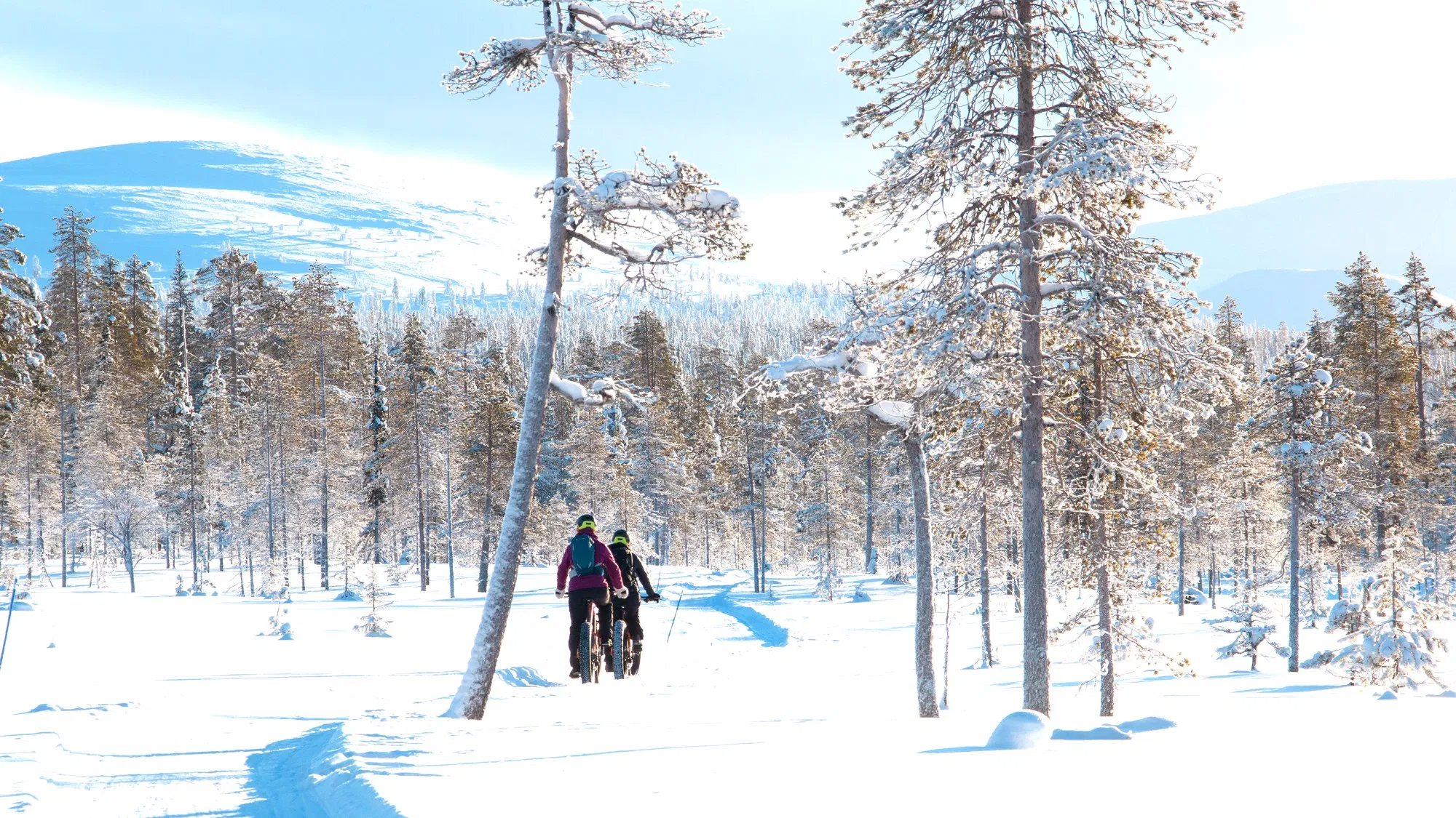 Electric Fatbike Tour in Ylläs