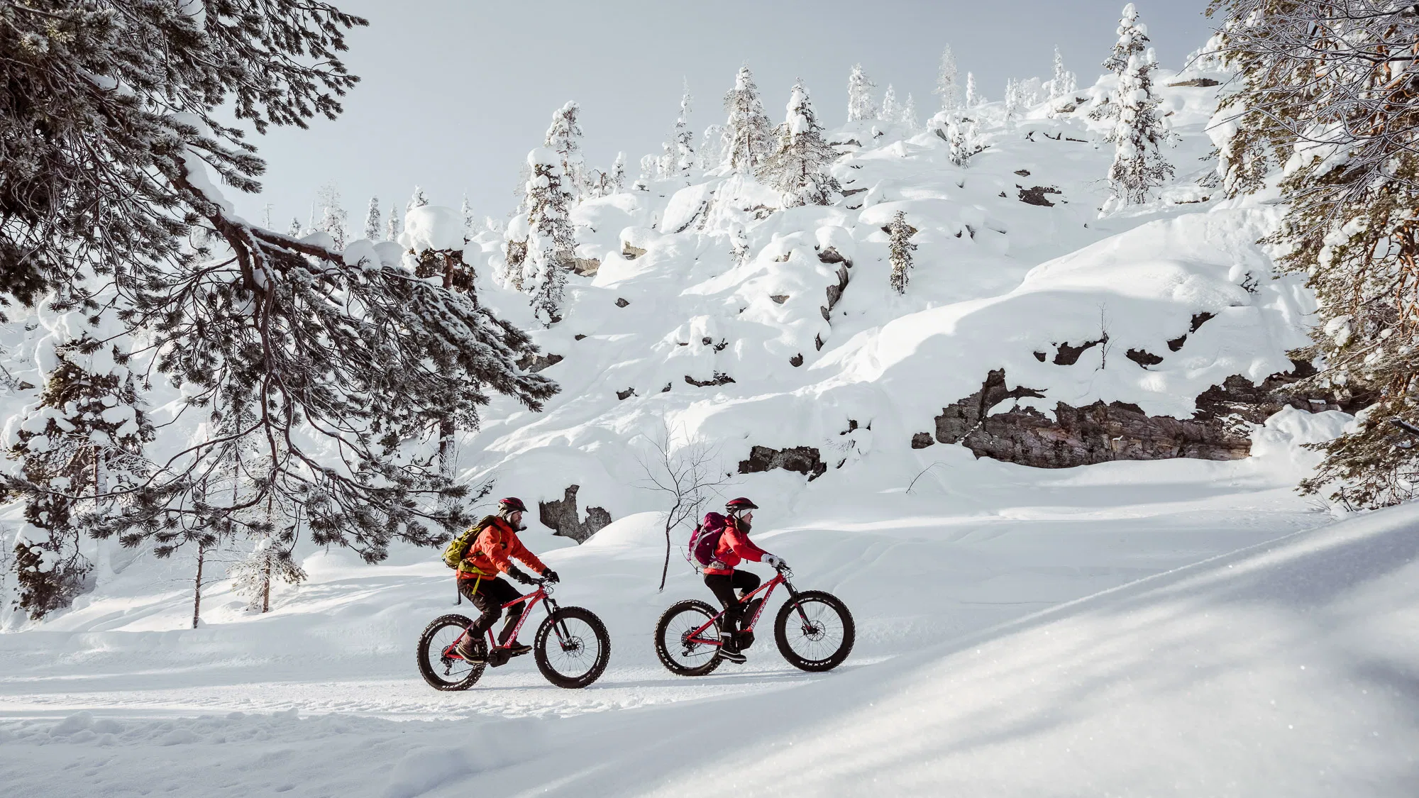 Electric Fatbike Tour to Pyhä-Luosto National Park – Private