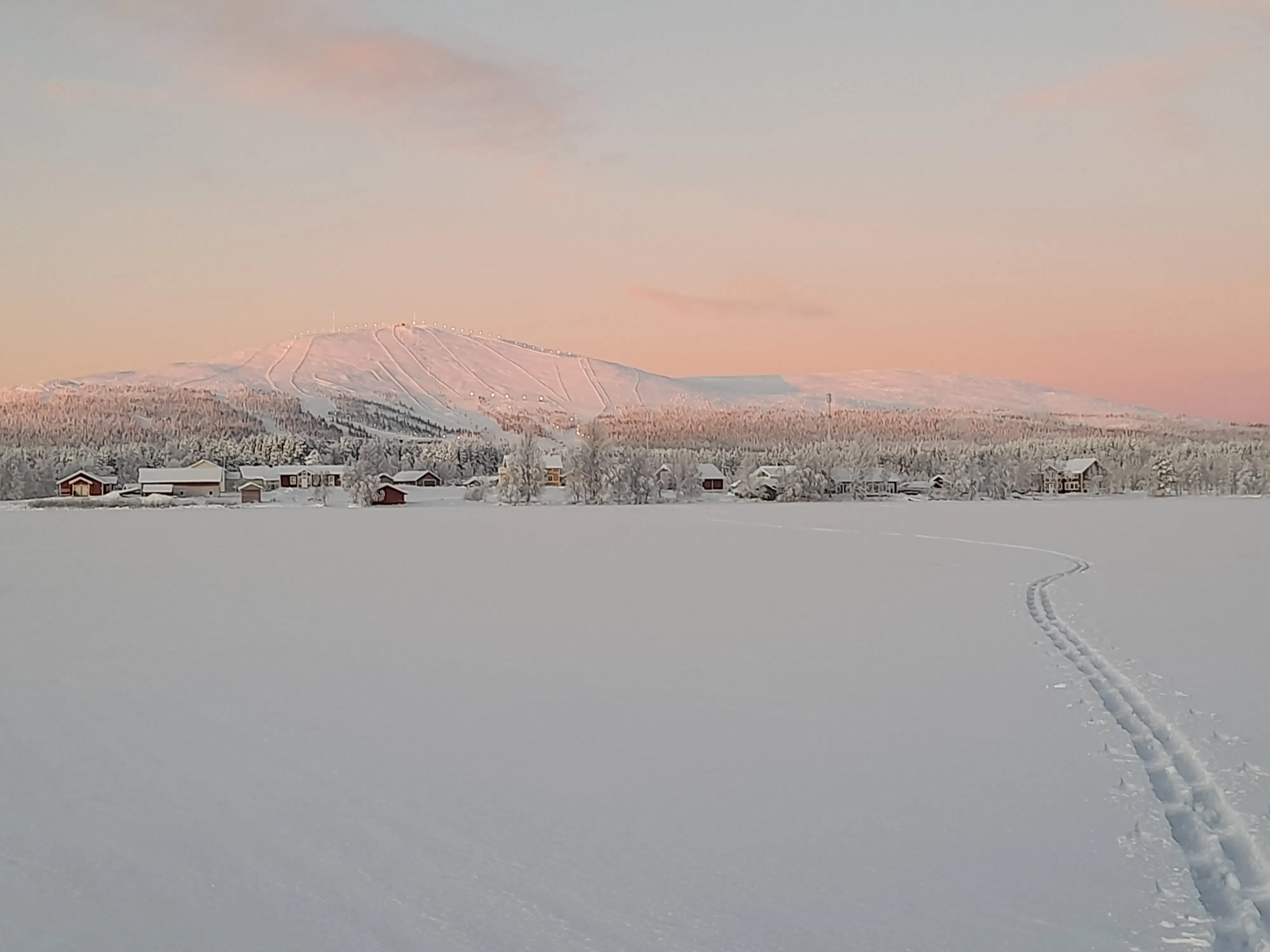 Exploring The Wilderness With Forest Skis