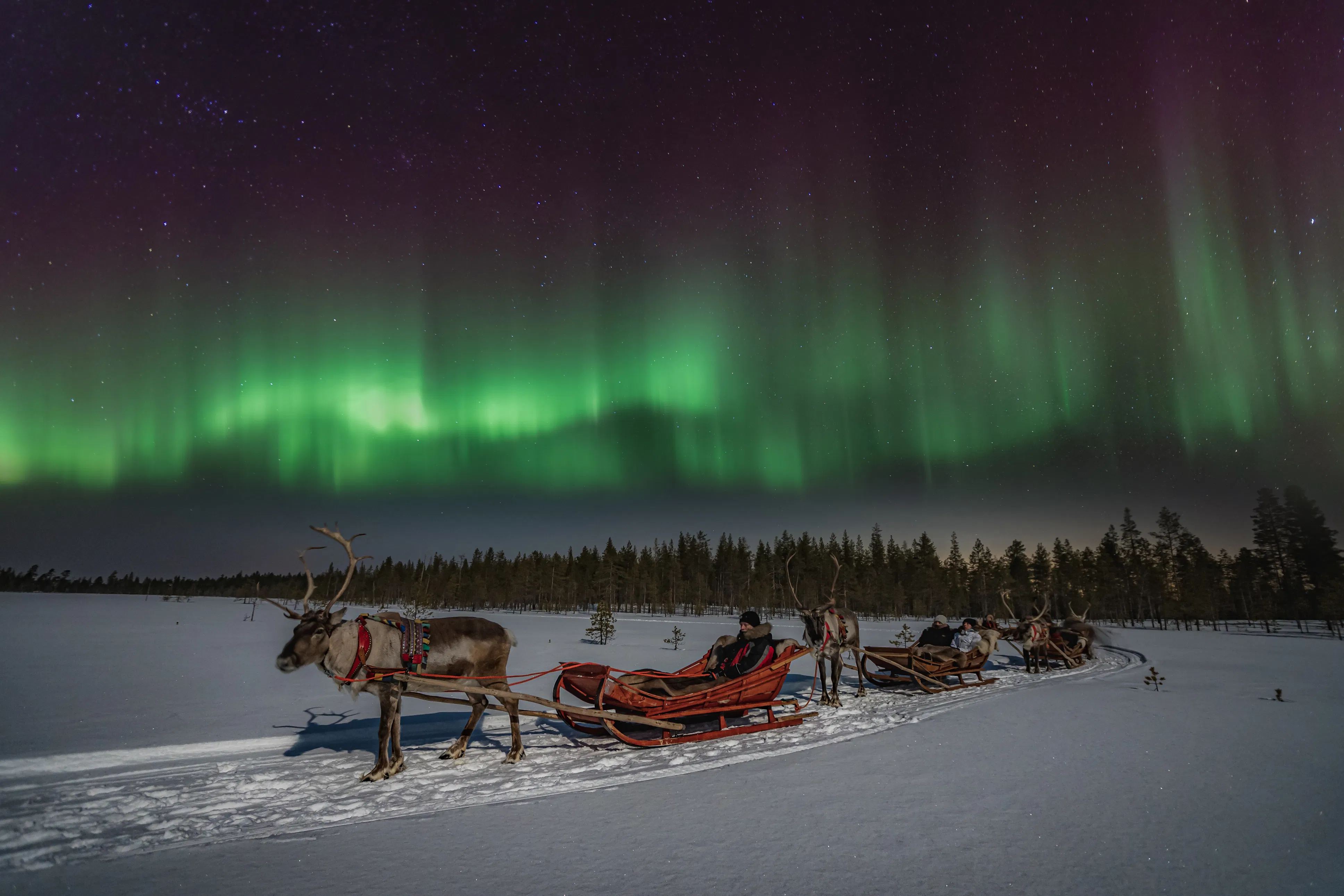In Search of the Northern Lights – Reindeer Sleigh Ride Under the Arctic Sky