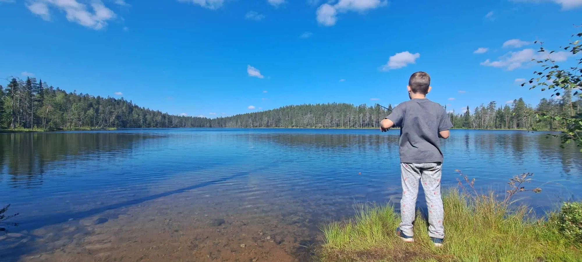 Lake Escape – Half-Day Summer Adventure in Finnish Lapland Wilderness