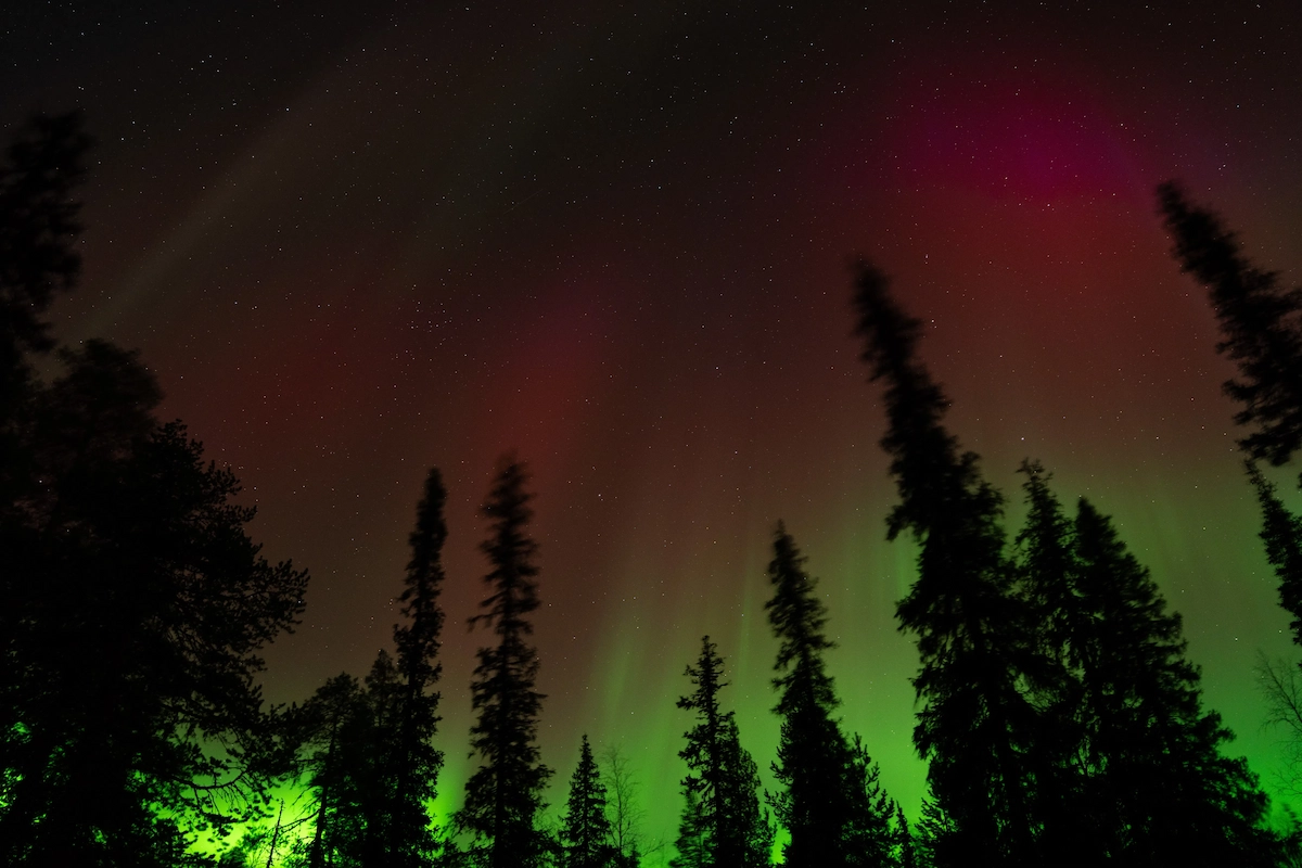 Private - Northern Lights Hunt in Levi