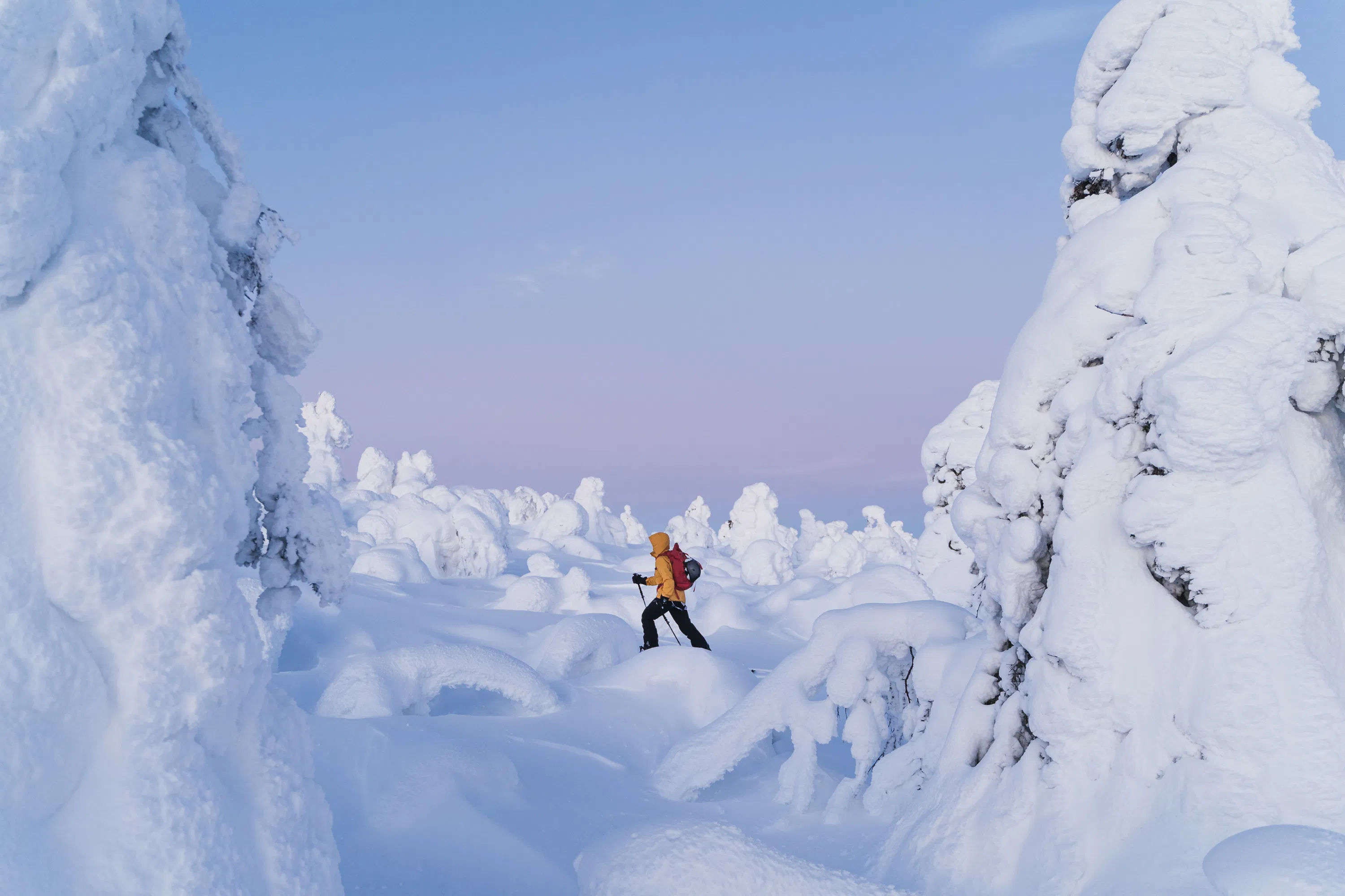 Private - Snowshoeing Adventure In Levi (2h)