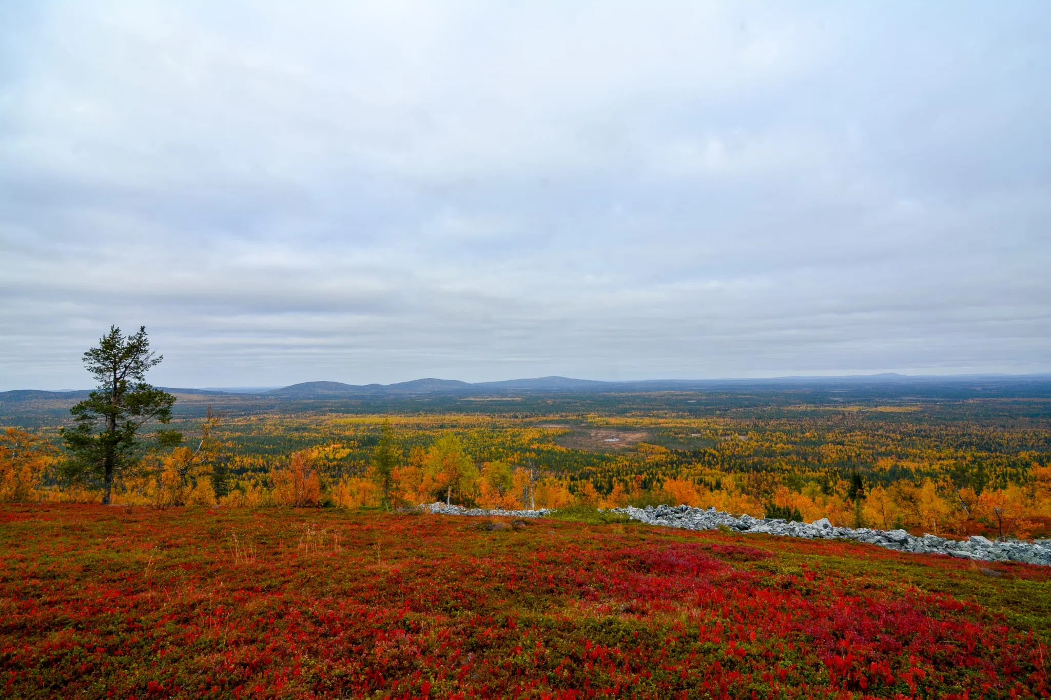 Scenic Day Tour — Lapland Highlights by Minivan with Guided Walks & Lunch