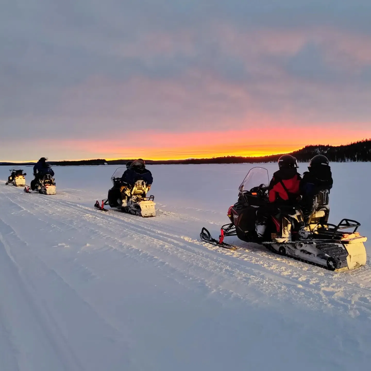 Snowmobile Safari to visit Reindeers at Wilderness camp including lunch