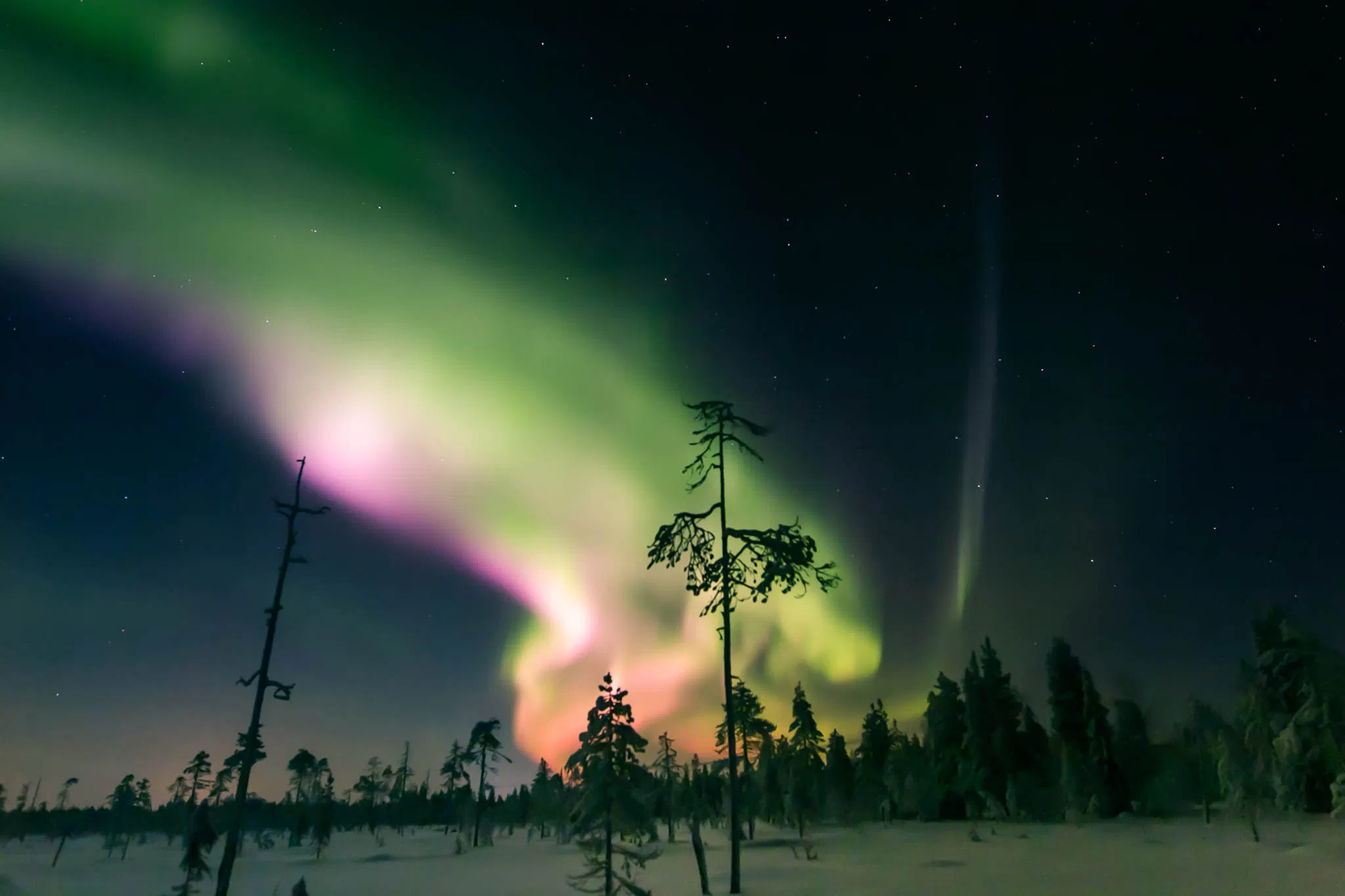 Tripod Rental in Pyhä Lapland - 1 day, 3 or 5 days