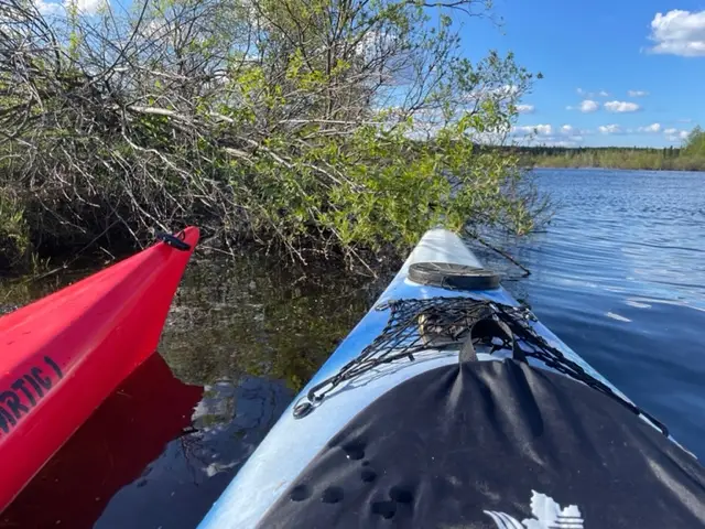 kayaking-with-friends-roiske-kaat-vandeweyer-1786632295.webp
