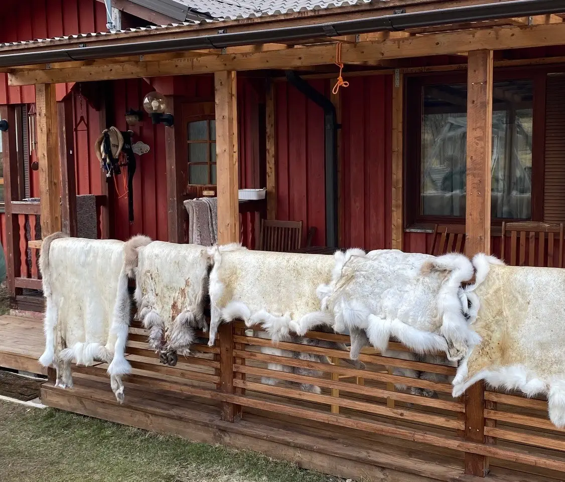 reindeer-jourmey-farm-kaat-vandeweyer-1786254938.webp