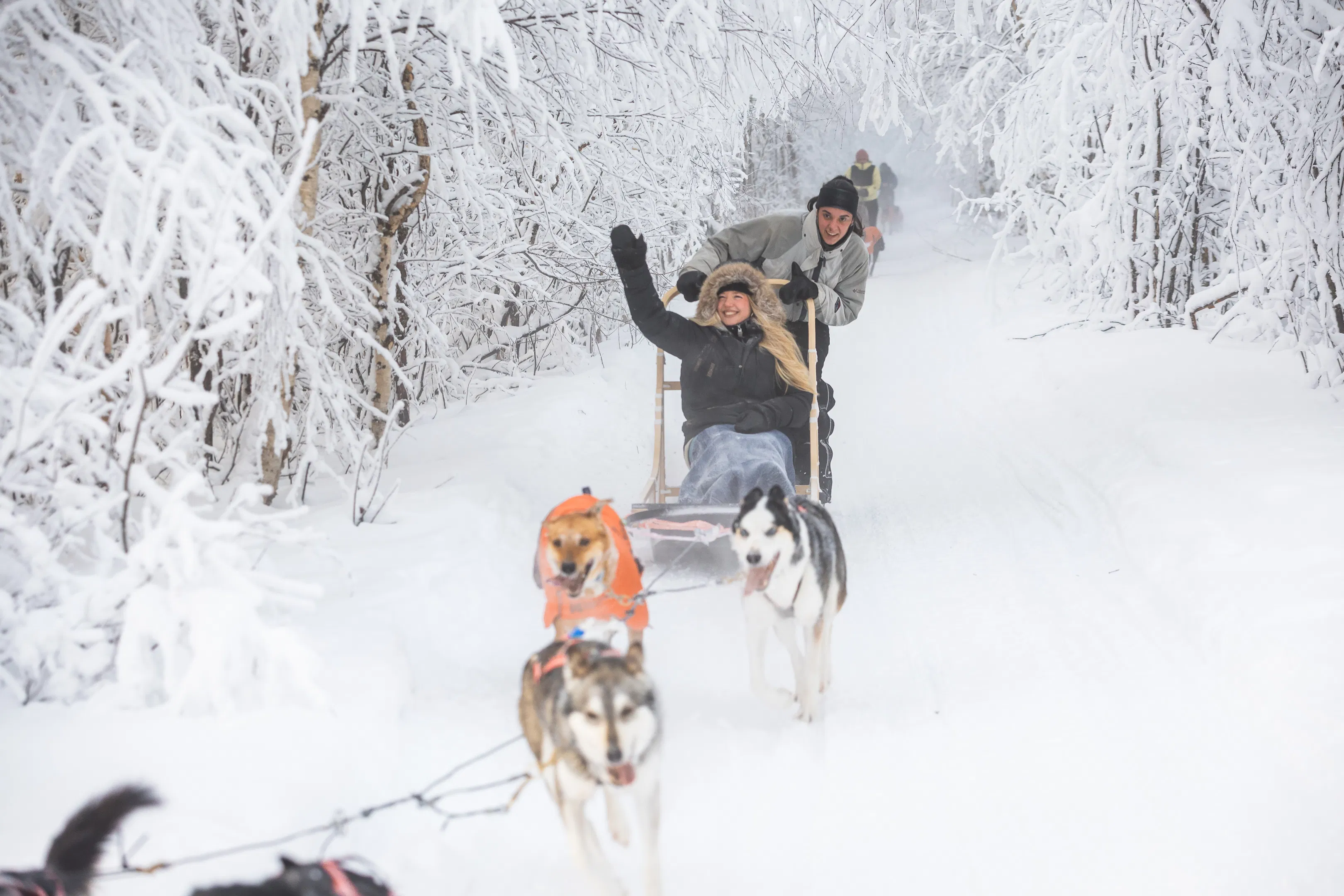 Thrill of Speed - 1 h husky safari in Rovaniemi
