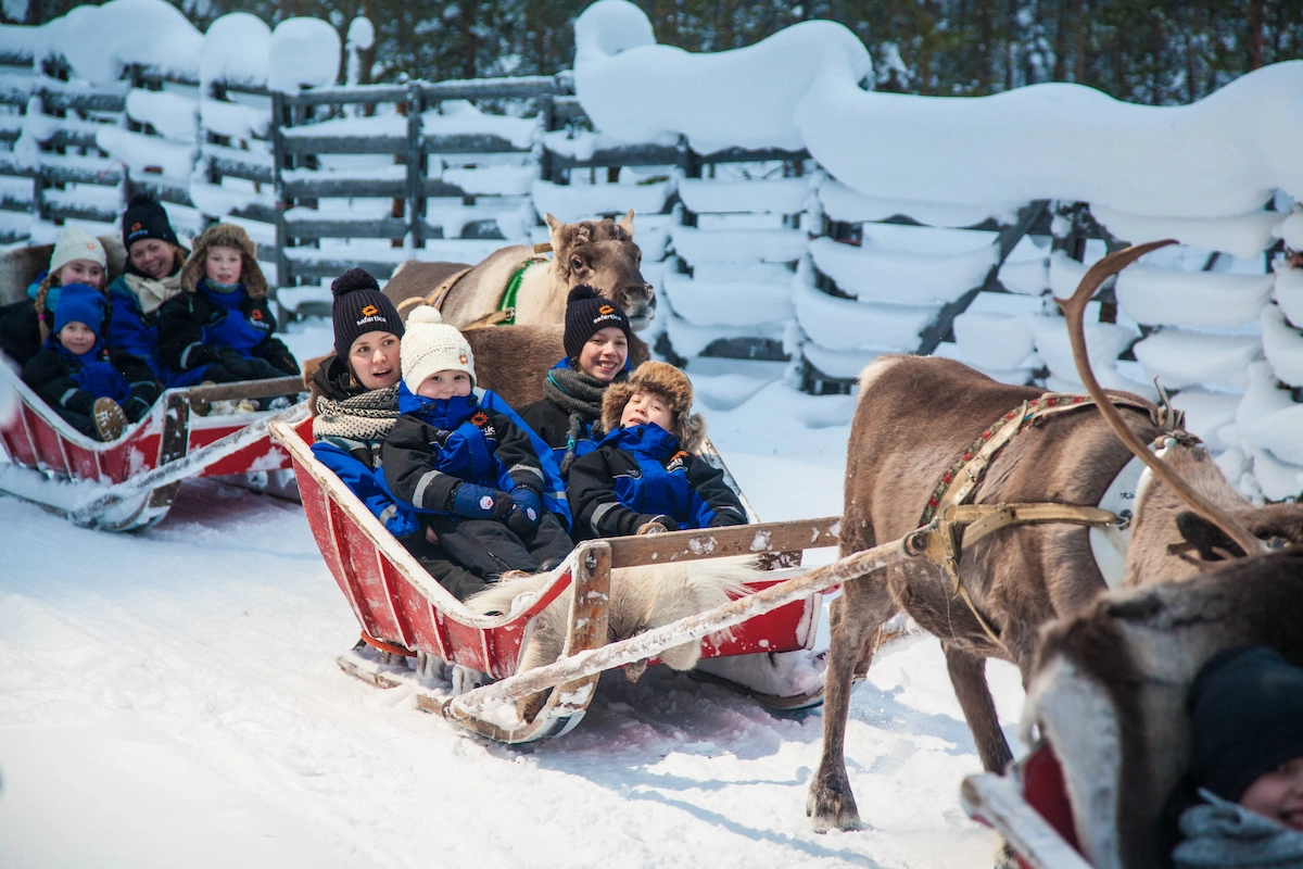 Traditional reindeer ride 4 km in Ylläs
