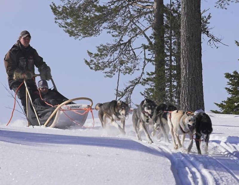 Arctic Circle – Husky safari in Levi Lapland | ourlapland.fi