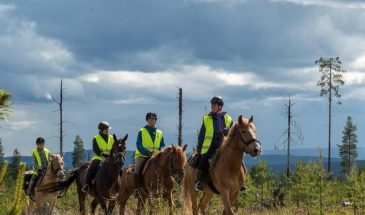Clatter of the hoof - Full-day Horse riding trip