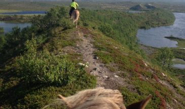 Horse ride Kittilä Lapland