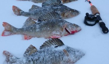 Ice fishing in Inari Utsjoki Lapland winter