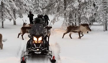 Snowmobile safari + SnowHotel Visit & Salmon Dinner winter