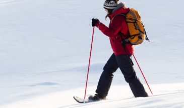 Snowshoeing in Pyhä-Luosto National Park