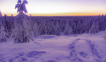 Winter mood in Ounasvaara Rovaniemi, lapland