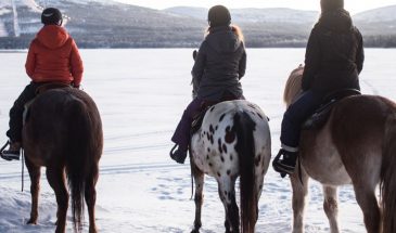 Horseback ride in pyhä in winter snow weather in the frozen lake of finnish lapland