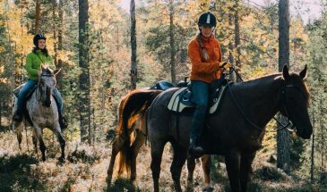 Horseback ride in pyhä summer and autumn landscape , the nature of colorful Lapland soutaja fell