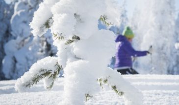 Snow shoe in Rovaniemi winter snowy weather in Finnish Lapland landscape walking girl under the white nature