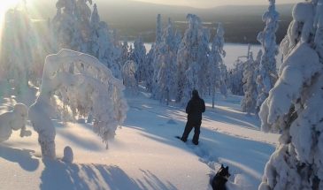 Winter Snowshoe in pyhä luosto Pelkoseniemi Lapland winter Nature lucky ranch