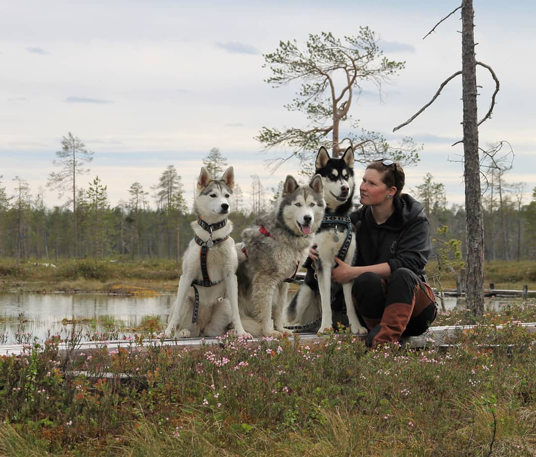Arctic Life in Pyhä Luosto- Finnish Lapland, Visit Lapland ourlapland.fi