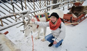 Early winter travel in Rovaniemi Lapland - day with the reindeer