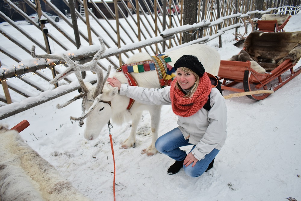 Early winter travel in Rovaniemi Lapland - day with the reindeer