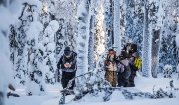 Explore the wilderness – Photography expedition- Beyond Arctic Rovaniemi Lapland
