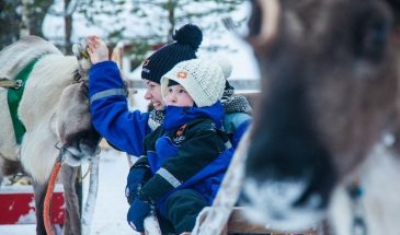 Family Day – Reindeer, huskies, snow fun and lunch- Rovaniemi- Safartica- Visit Lapland