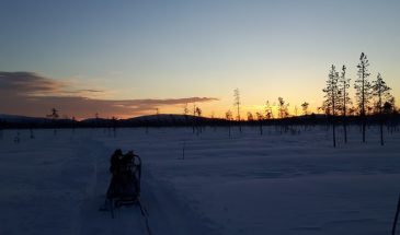 Polar Lights Tour - Night safari with huskies- kittilä- Finnish Lapland winter