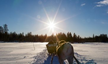 Reindeer Safari to Ice Fishing Lake- Safartica- Rovaniemi- Visit Lapland