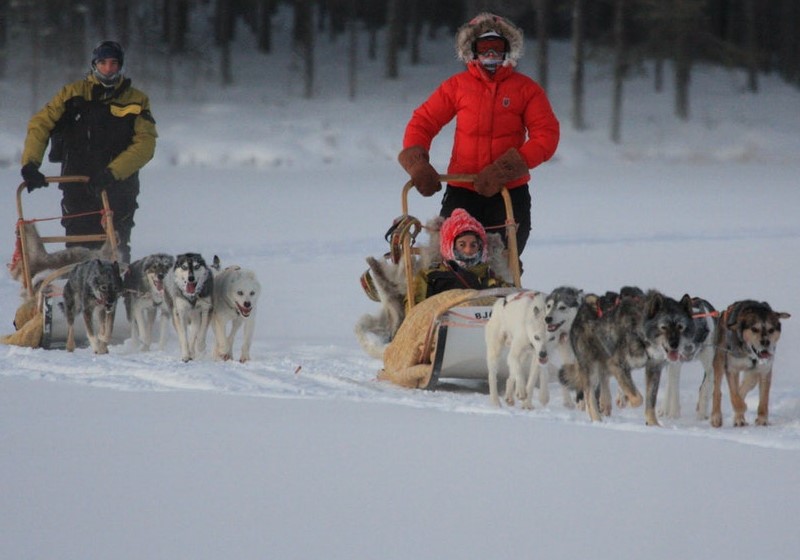 Husky with Two Overnights in Levi - Kittilä Visit Lapland | ourlapland.fi