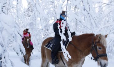 Steps on the snow - Nice trail ride in the pine forest in winter- Polar lights tours- kittilä- Visit Lapland