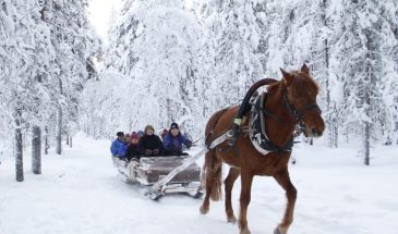 Winter fun - Horse and husky experience- Polar lights - Visit Lapland Kittilä