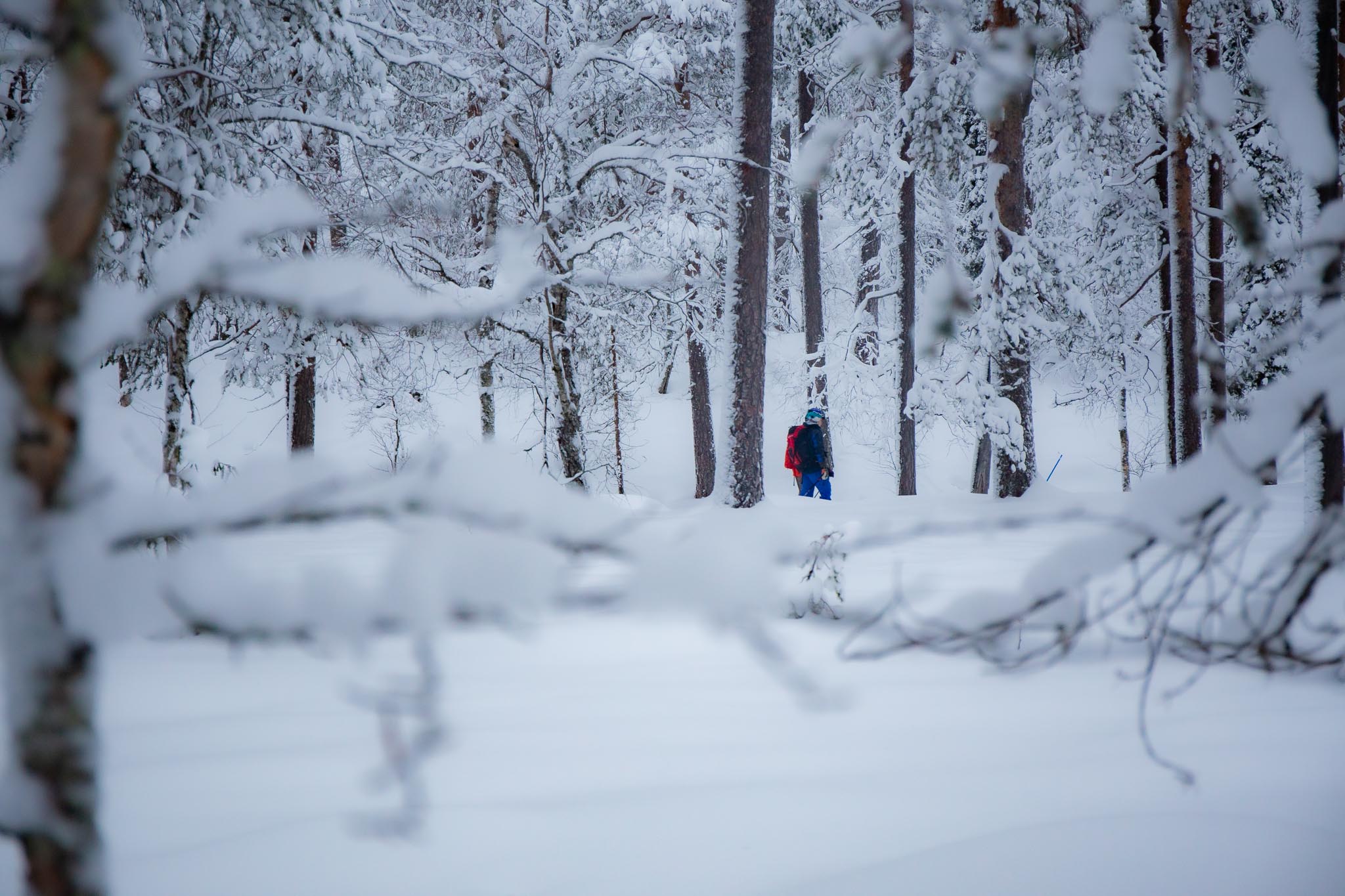 Christmas outdoor in Lapland Finland- Sodankylä- Visit Lapland- Pic by Jasim Sarker