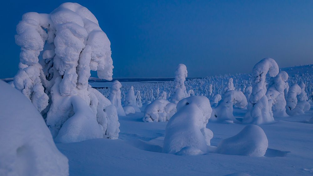 Winter dream in Finland Laplan- view from riisitunturi in Posio By Jasim Sarker