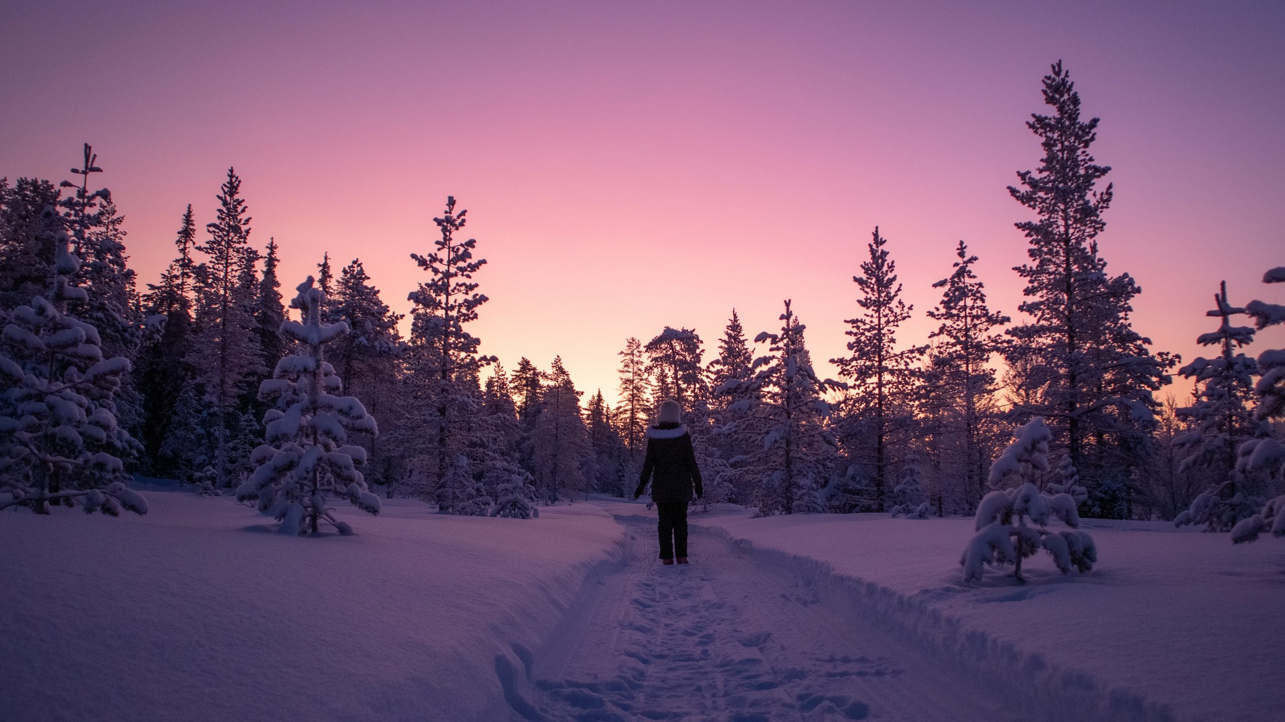 Anniina Olkkonen - Dream pink and purple moments in Salla Finnish Lapland winter