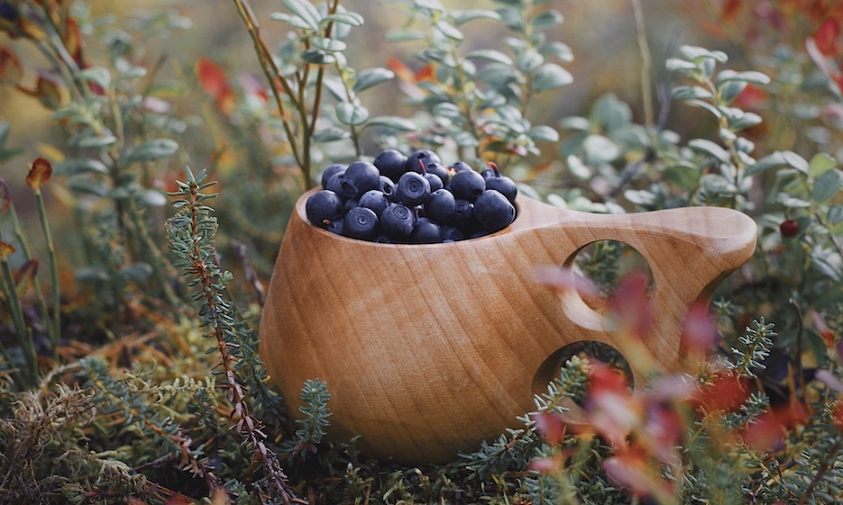 Blueberries in a Kuksa