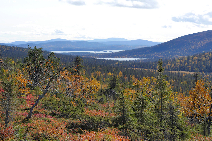 Lapland-Lommoltunturi-Muonio-blogpost-interview-Autumn-Scenery-Beautiful-Nature