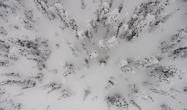 Snow wilderness Lapland Finland winter from the above