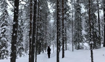 Hiking in Korouoma during winter Posio Lapland By Claudia Martens